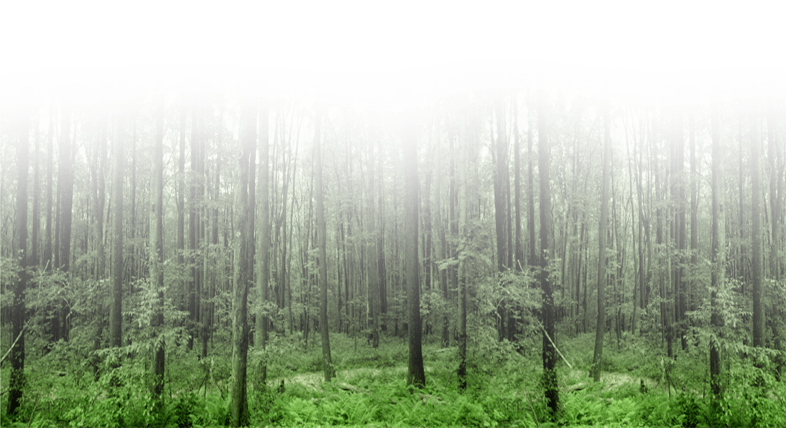 Dr.Lee Acupuncture Clinic