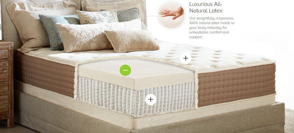 Ecoterra Mattress Review Sleep Delivered
