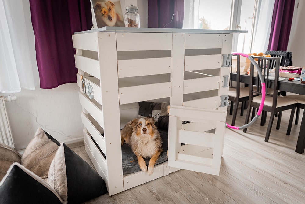 Hundebox selber bauen DIY Bauanleitung für eine dekorative Hundebox
