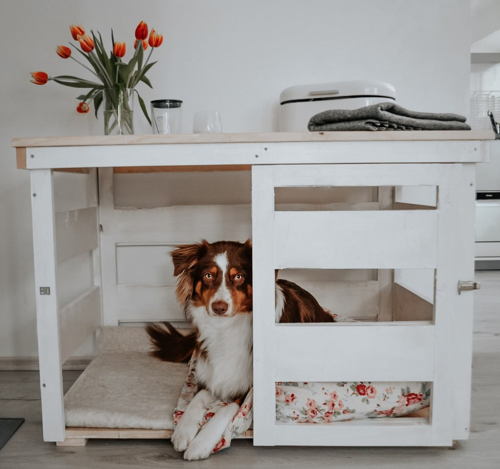 Hundebox Selber Bauen - Diy Bauanleitung Für Eine Dekorative Hundebox