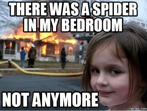 How to Keep Spiders Away While Sleeping (Get Rid of Spiders in Bed)