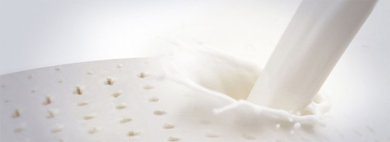 Latex Resilience; How Well Does Latex Hold Up? Sleeping Organic