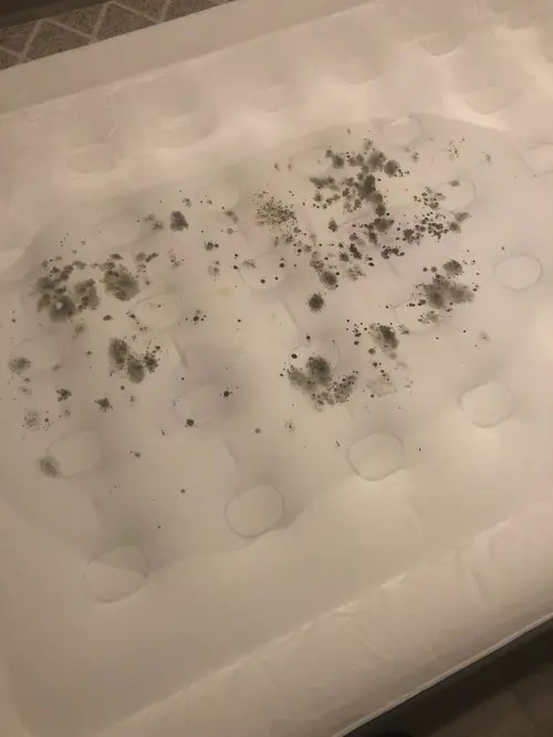How To Remove Mold From Air Mattress (5 Proven Steps) 2023