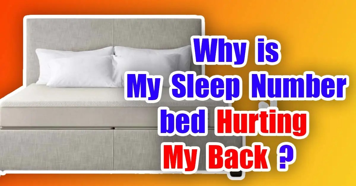 Why is My Sleep Number bed Hurting My Back? (4 Reasons)