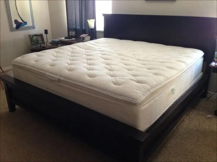 Costco Mattress Return Policy 2022 SleepingVibe