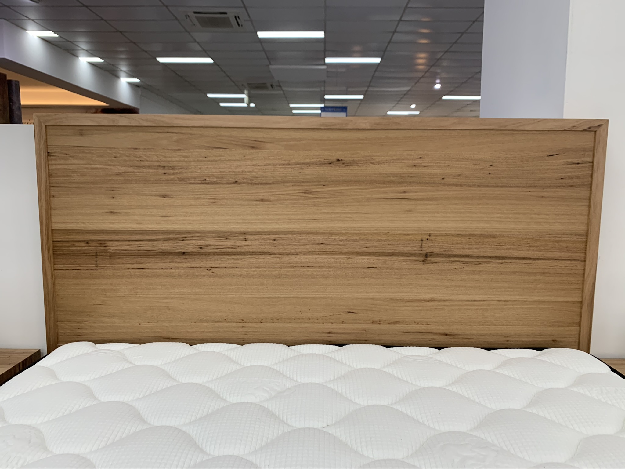 AUSTRALIAN MADE "NEWTON" BED FRAME Sleep King