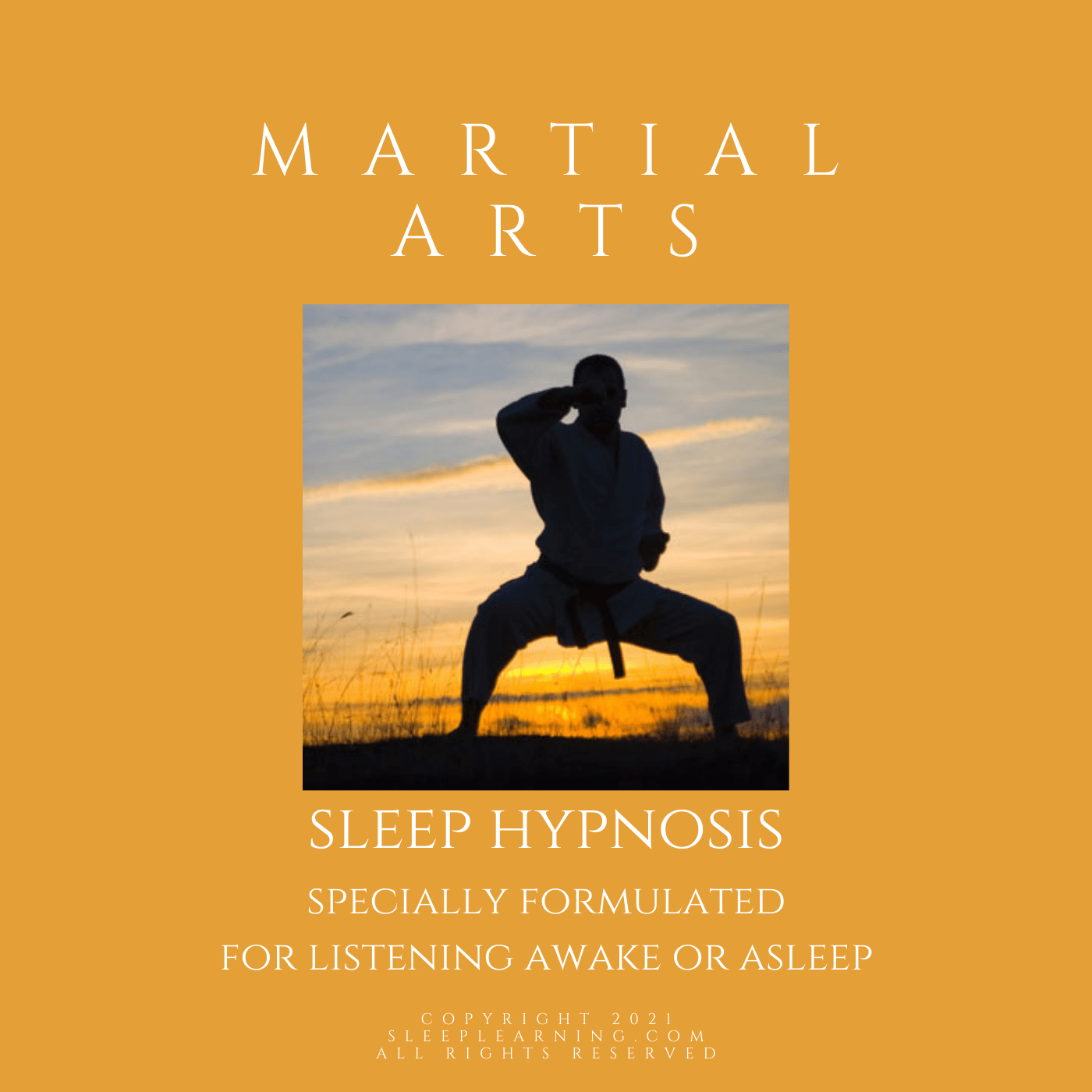 Master Martial Arts Sleep Hypnosis SLEEP LEARNING
