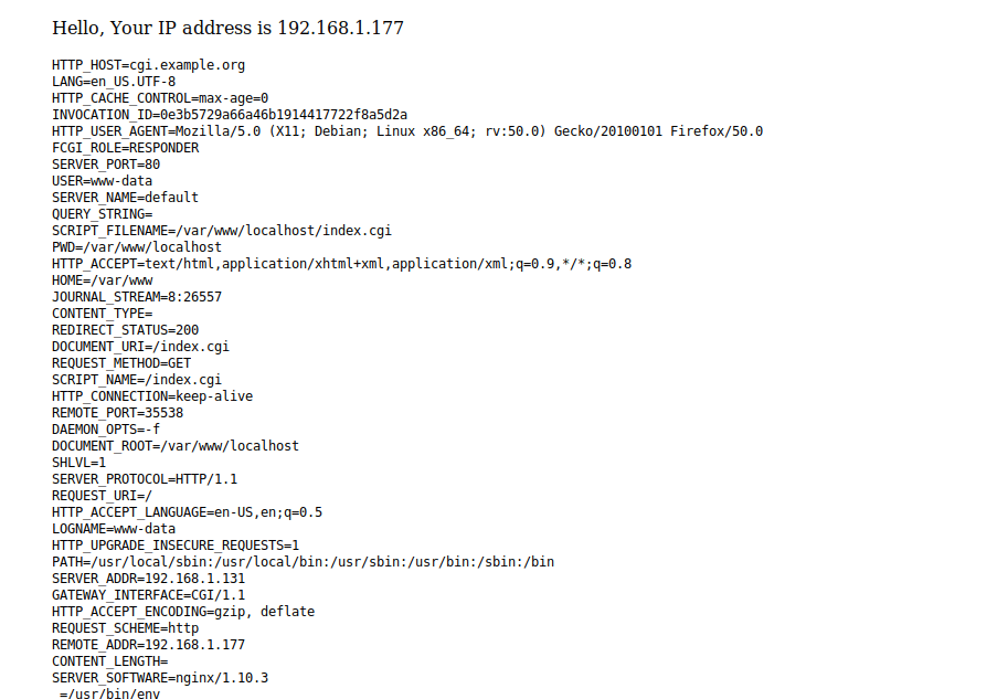 How to execute CGI scripts using fcgiwrap sleeplessbeastie's notes