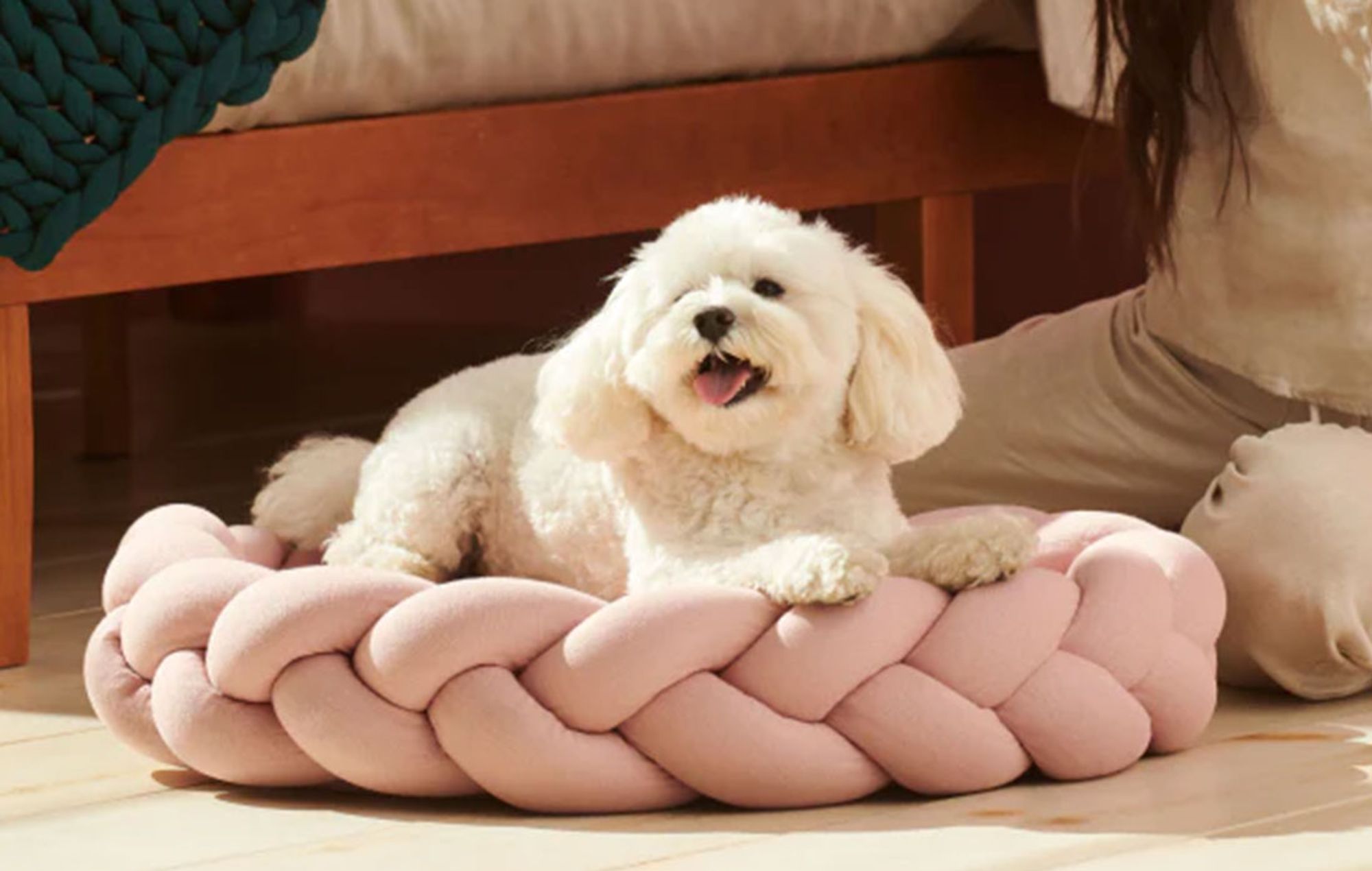 Bearaby Launches New Dog Bed
