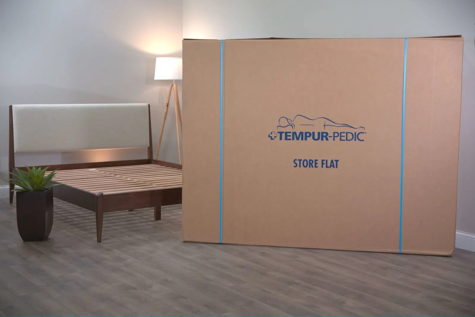 Empfehlung Grusel Stein mattress delivered in a box Schiffswrack