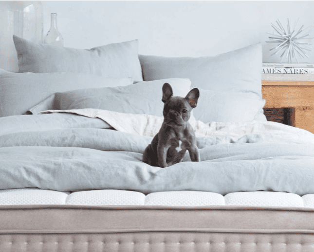 The Dreamcloud Mattresses Review Is it Worth the Hype? Sleep