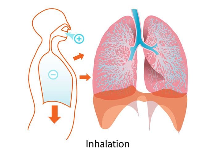 Snoring 101 Symptoms, Causes and Treatment Options