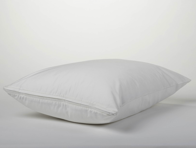 Coyuchi Organic Pillow Protector Natural Sleep Luxury & Organic Mattress