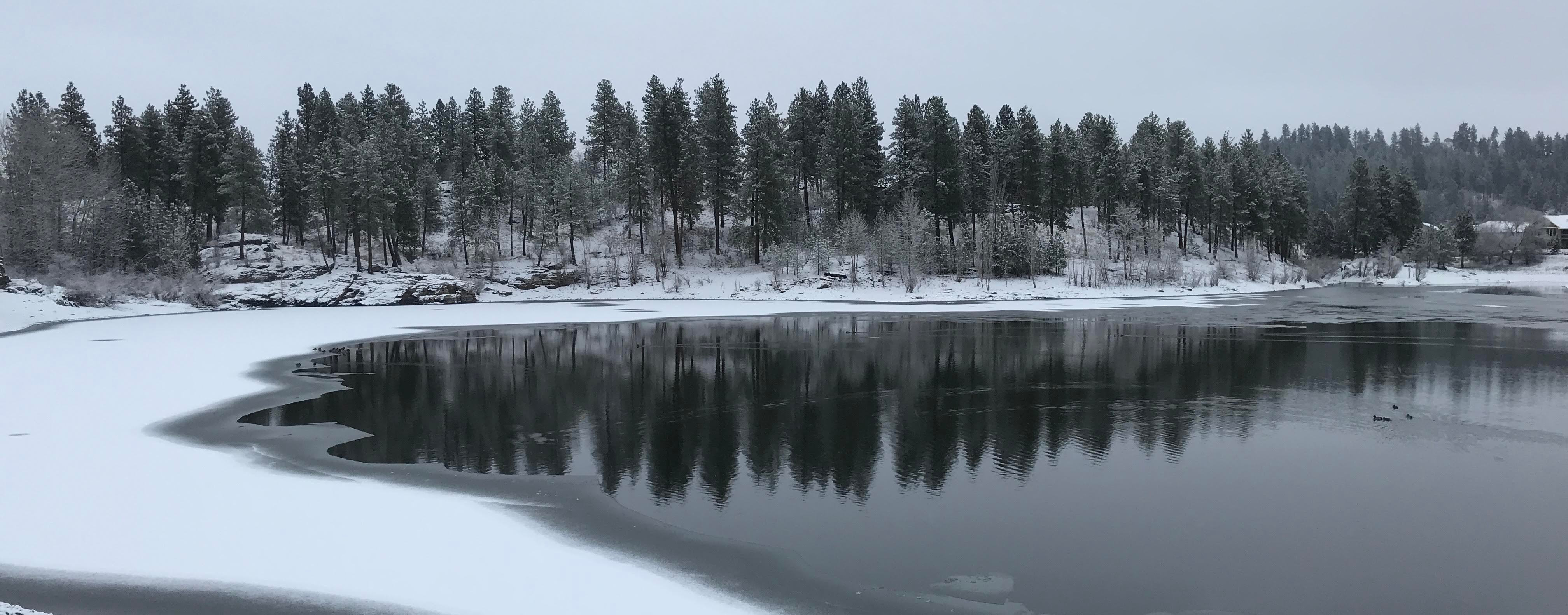 Shelley Lake Estates H.O.A.