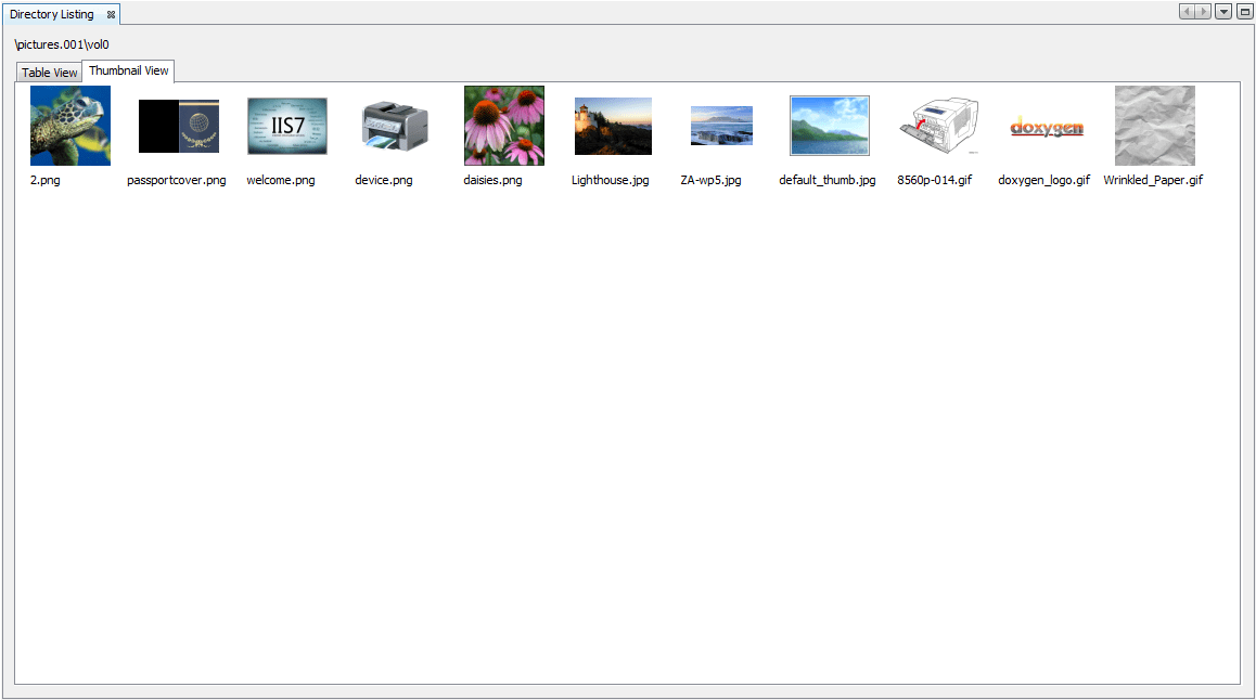 Autopsy User Documentation UI Layout