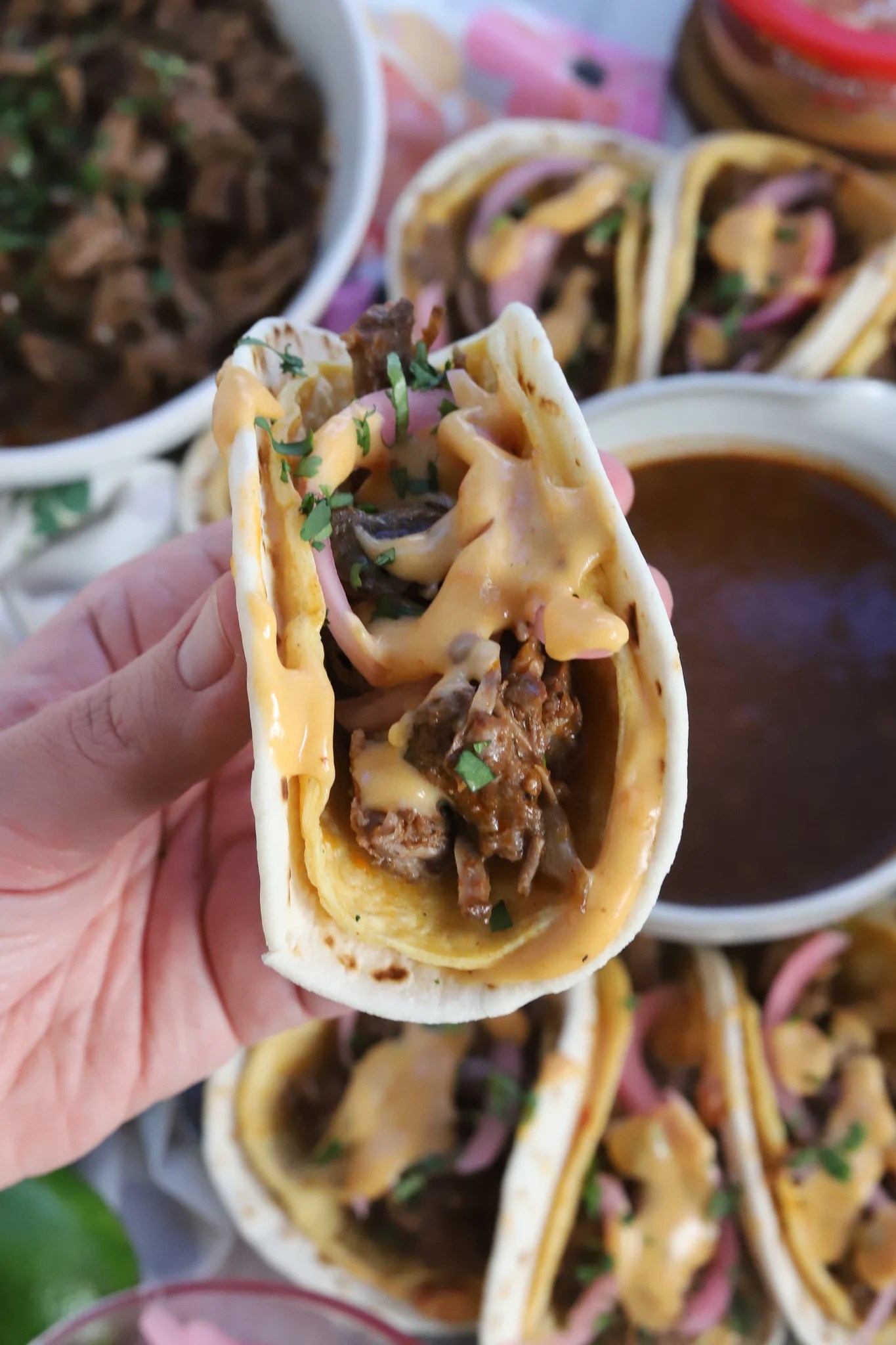 Queso Stuffed Beef Barbacoa Street Tacos Slice of Jess