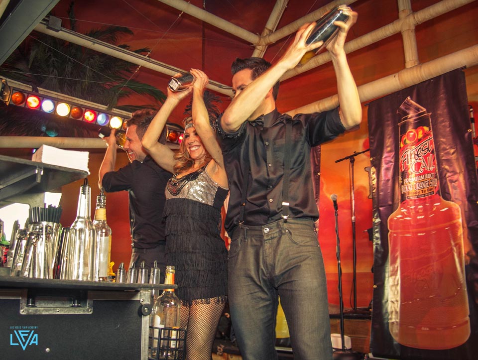 Bartender for Hire in Los Angeles