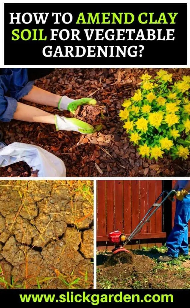 HOW TO AMEND CLAY SOIL FOR VEGETABLE GARDENING? Slick Garden