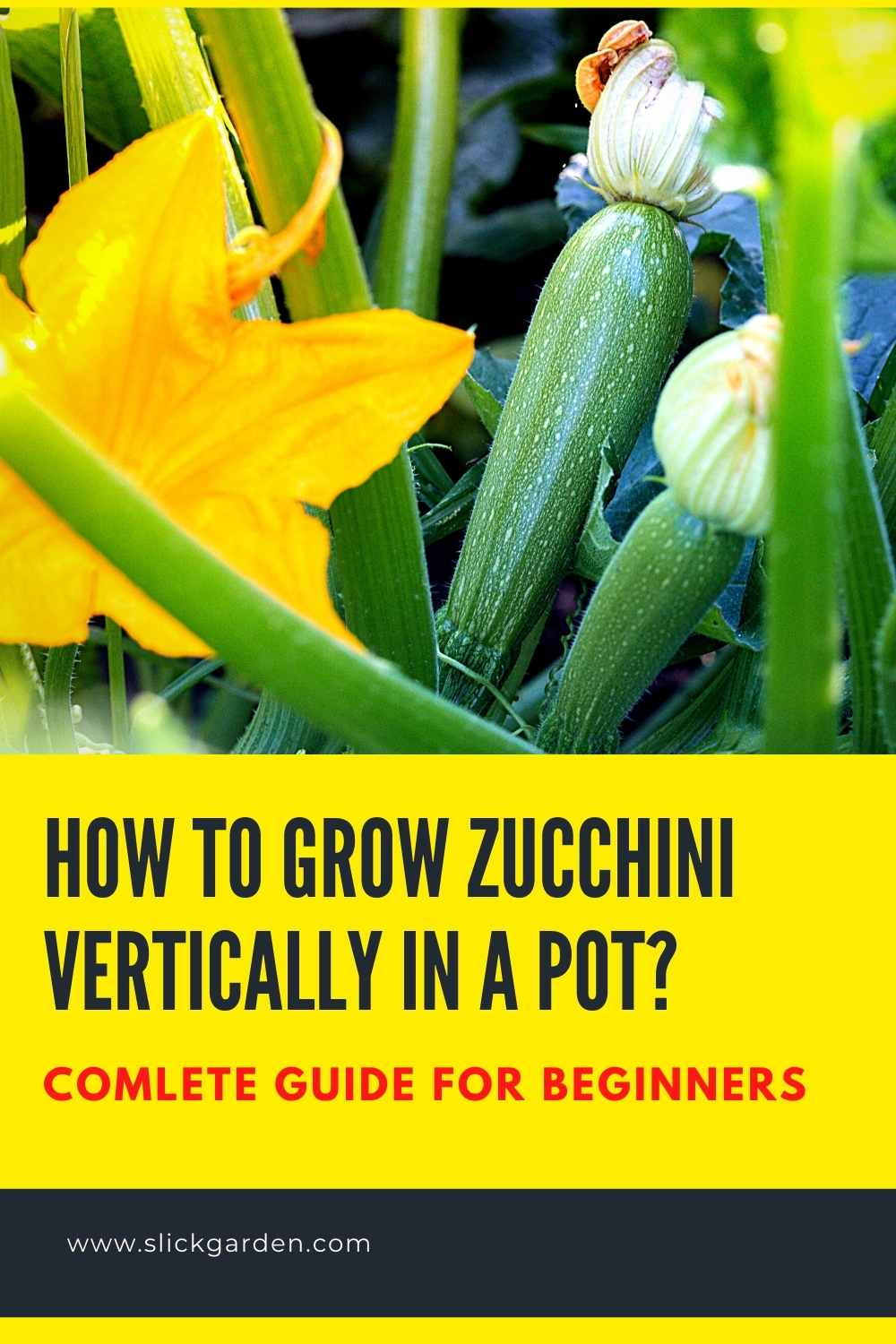 How To Grow Zucchini Vertically In A Pot? Slick Garden