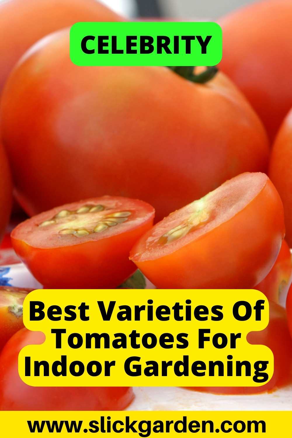 10 Best Tomatoes To Grow Indoors Slick Garden