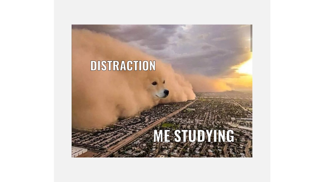 Free Dog Face Meme Template PowerPoint and Google Slides