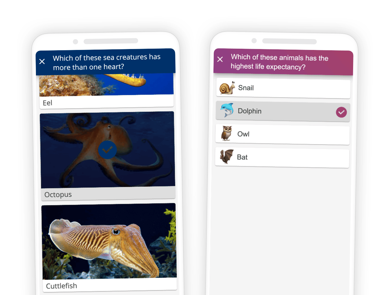 Create interactive Quizzes in PowerPoint SlideLizard®
