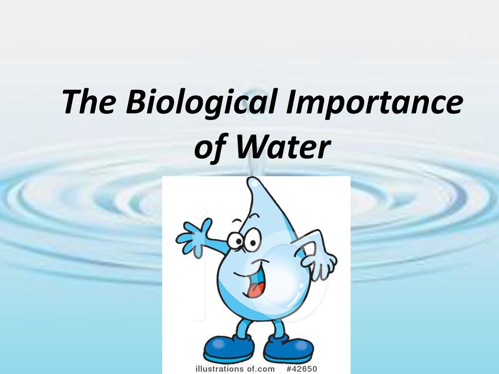Biological Properties Of Water