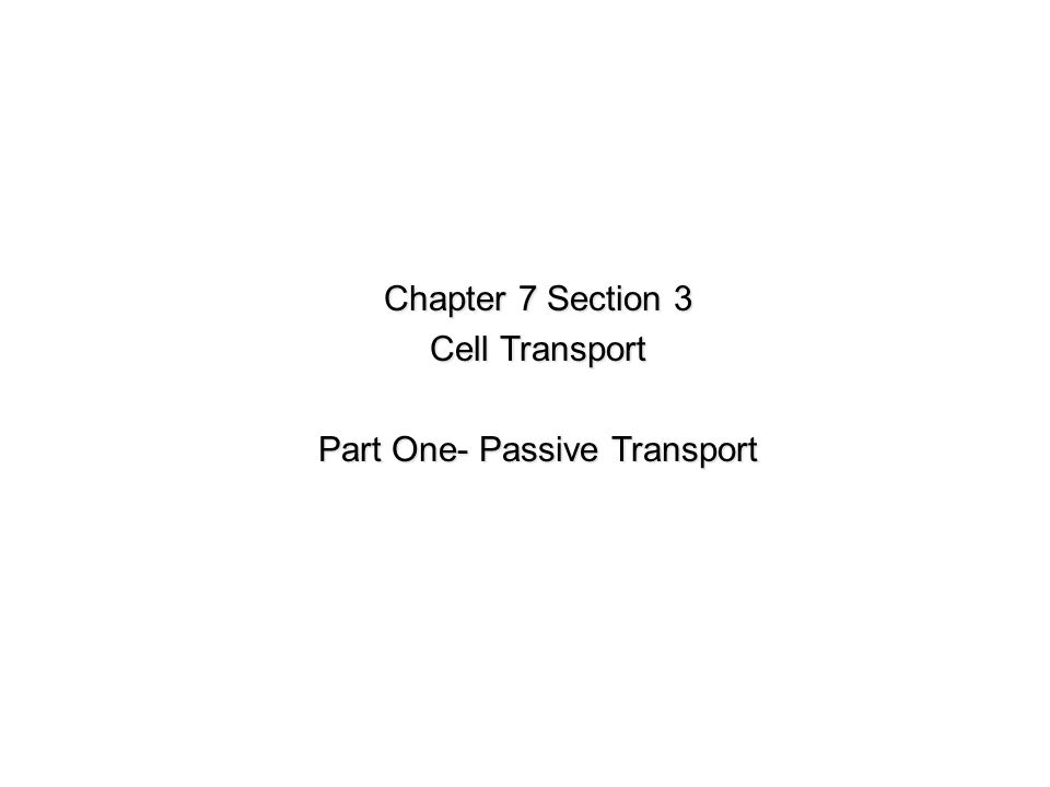 Chapter 8 Lesson 3 Cell Transport Answers - KandisKamren