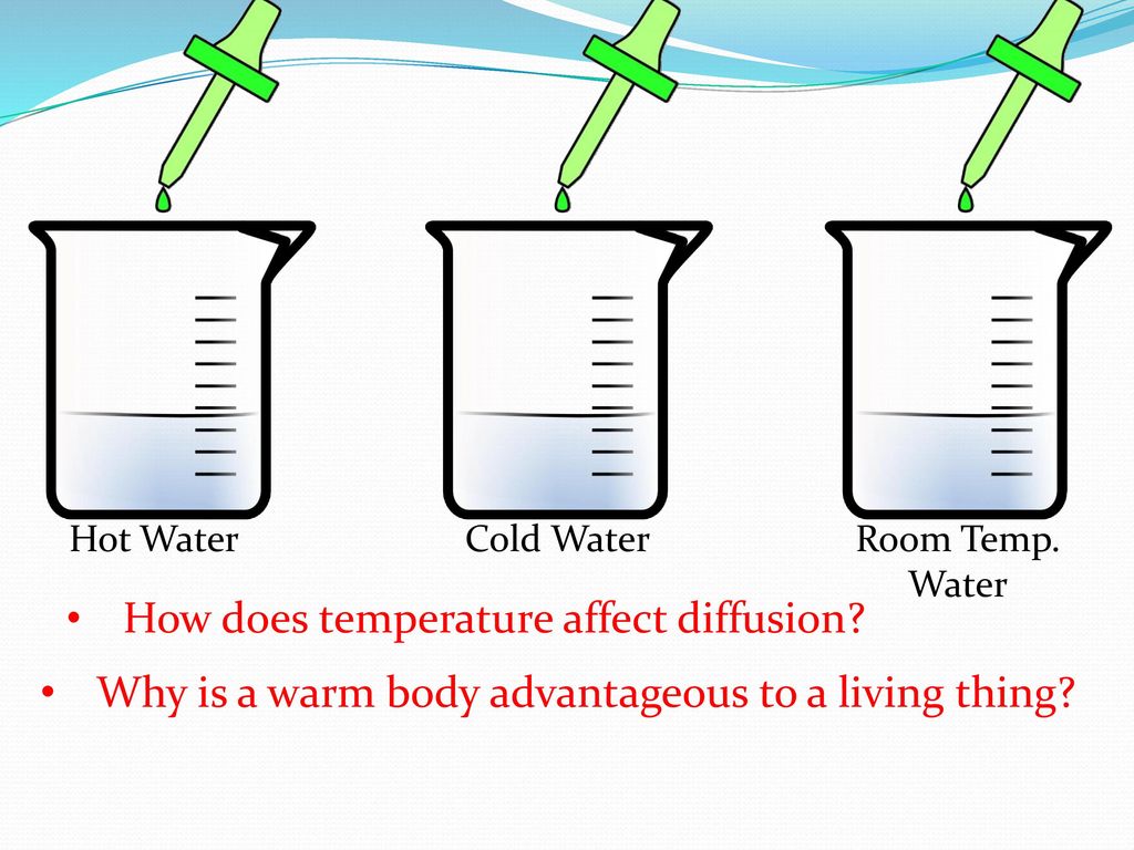 Cell Transport Cell/Plasma Membrane - ppt download