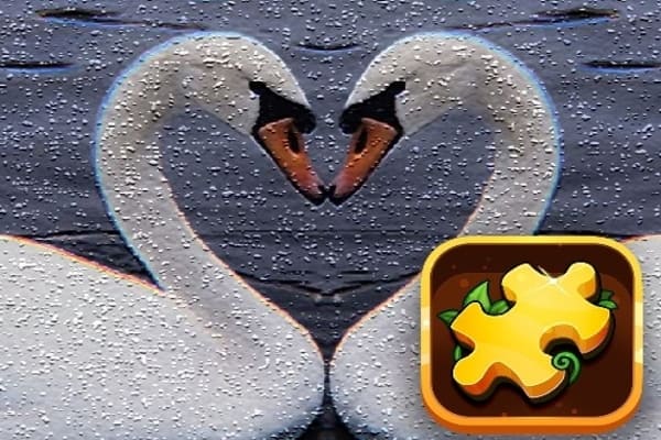 Swan Puzzle Challenge, Games Play Online Free