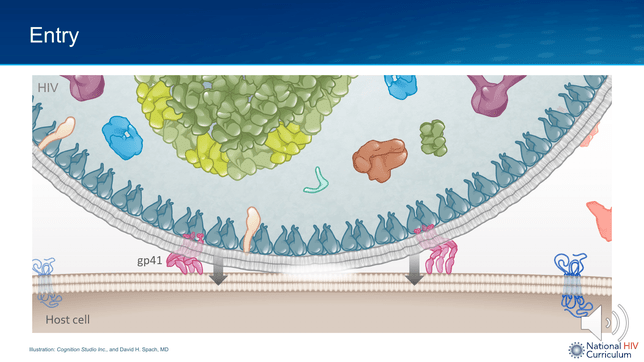 Presentation Mini-Lecture: Overview of the HIV Life Cycle