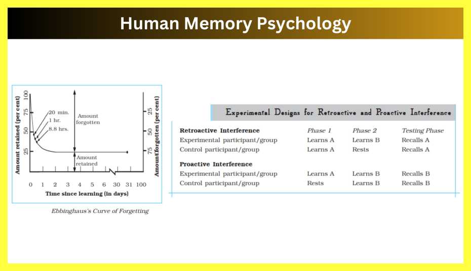 Human Memory Psychology Notes In Hindi » Slide Share PPT
