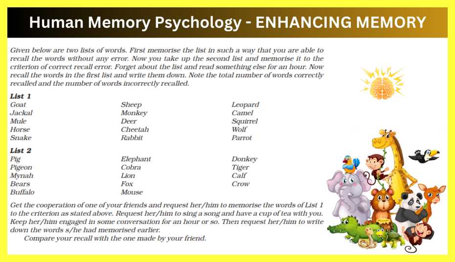 Human Memory Psychology Notes In Hindi » Slide Share PPT