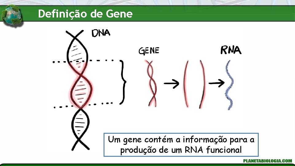 Introduo Gentica O que vamos ver nessa aula