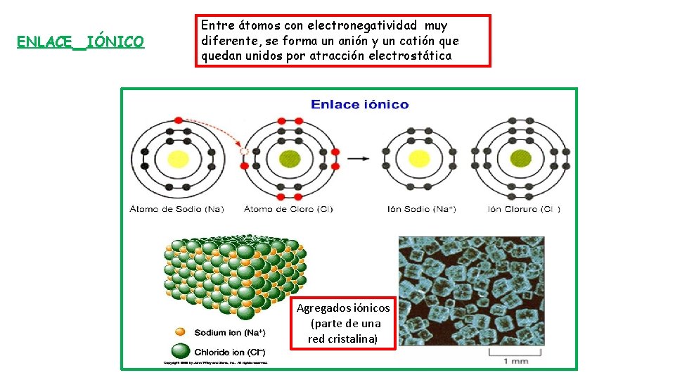LOS COMPONENTES QUMICOS DE LA CLULA ENLACES QUMICOS