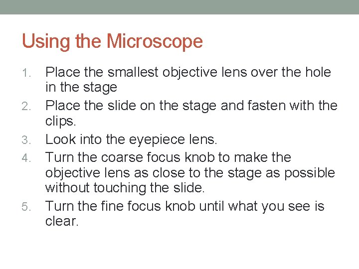 THE MICROSCOPE 6 th Grade Science Microscope A