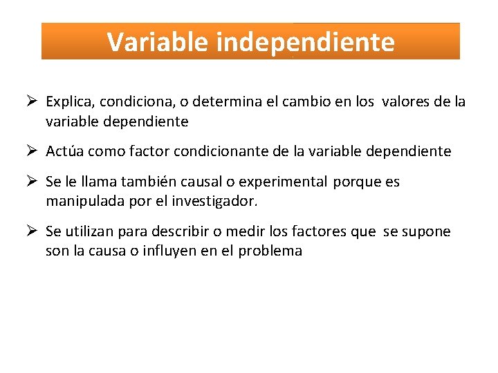 Las Variables en la Investigacin de Mercados Concepto