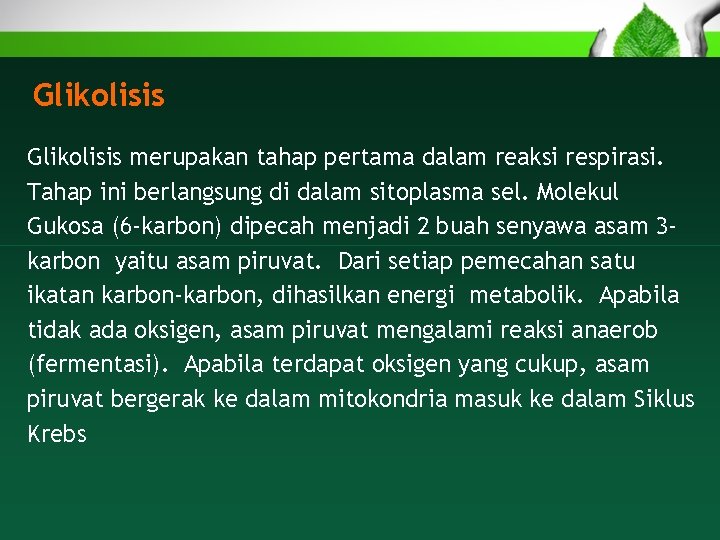 Struktur dan fungsi jaringan dan organ tumbuhan Respirasi