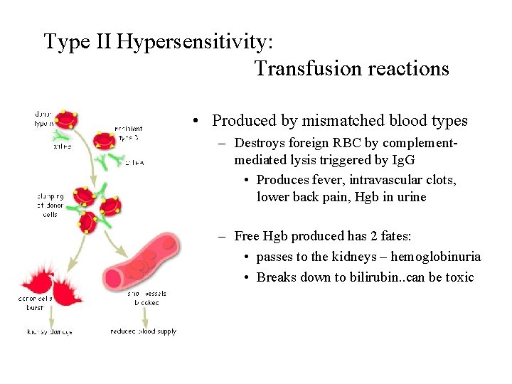 Graves Disease Type 2 Hypersensitivity Captions Hunter