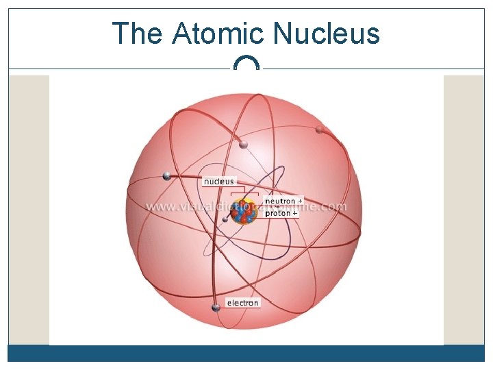 The Atomic Nucleus Reviewthe Nucleus The Nucleus Is
