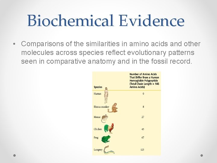 Evidence of Evolution Four Main Types of Evidence