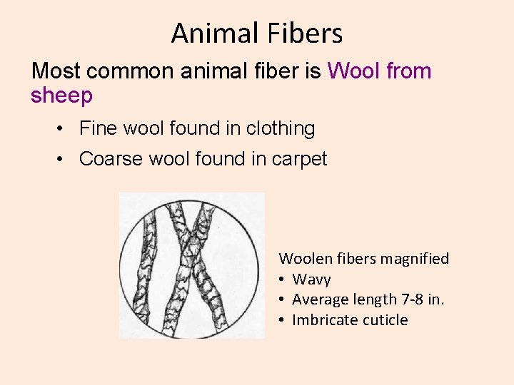 Fibers as Evidence The Importance of Fibers Fibers