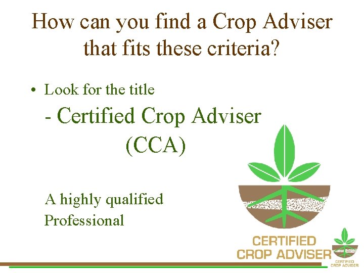 Certified Crop Advisor International Test Flashcards Quizlet