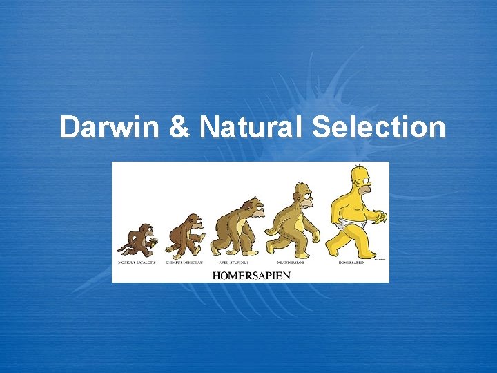 Darwin Natural Selection Learning Goals 1 Define Evolution
