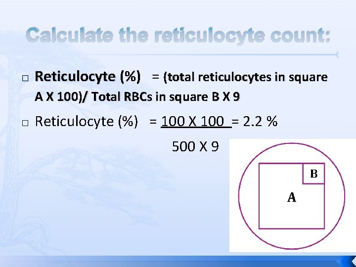 Reticulocyte Count Reticulocytes 1 2 3 4 5