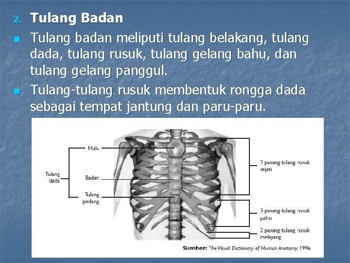 SISTEM GERAK PADA MANUSIA Macam Tulang Penyusun Rangka