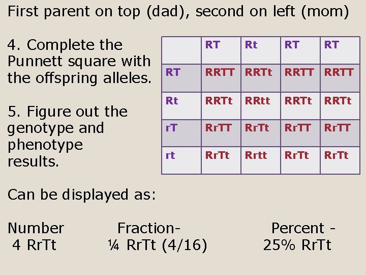 Dihybrid Square / Https Www Cantonschools Net Cms Lib