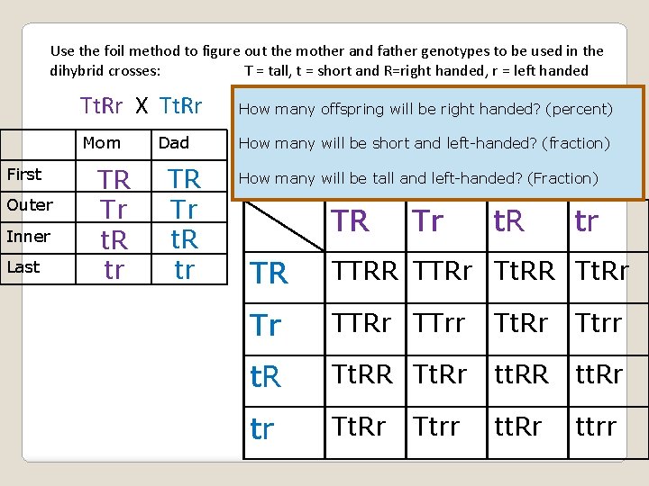 Dihybrid Square Dihybrid Square Practice