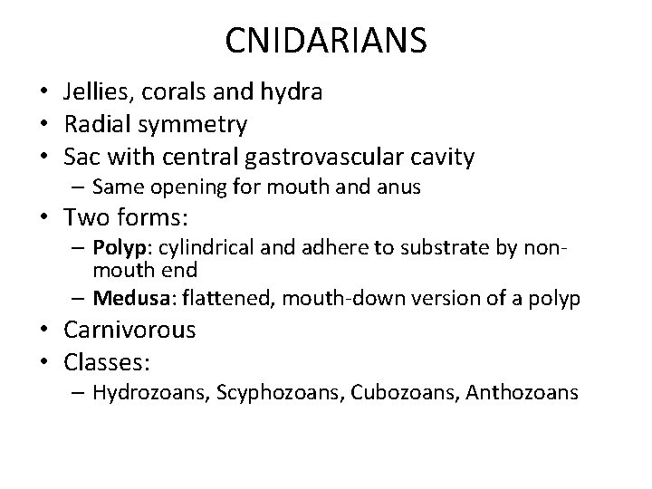 Invertebrates Part 1 SPONGES Suspension feeders Lack tissue