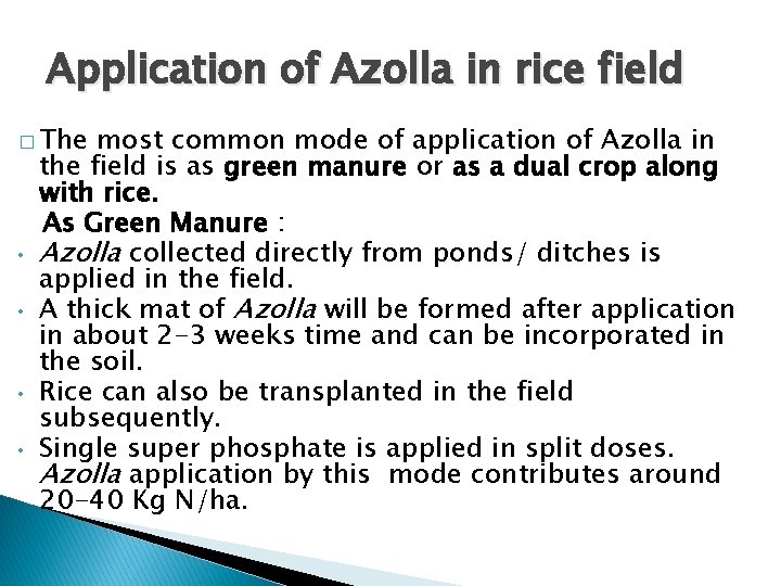 Azolla Blue Green Algae Biofertilizer Tanika rana M